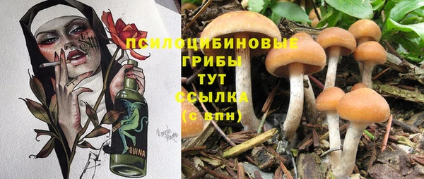 а пвп мука Бугульма