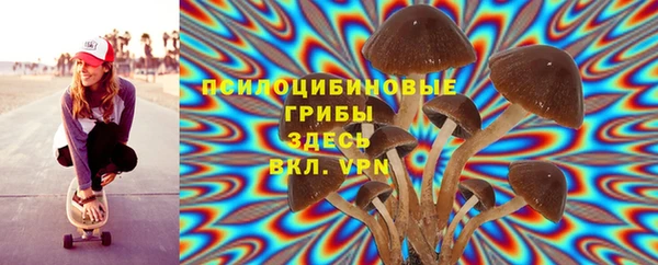 кристаллы Бородино