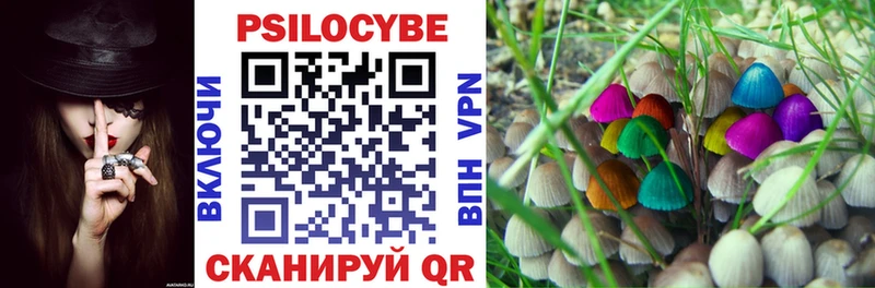 Псилоцибиновые грибы Psilocybe  Пятигорск 